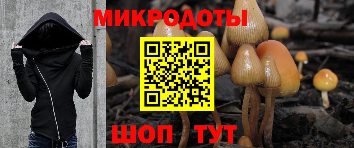 наркотики  Вход с VPN  Сибай  Галлюциногенные грибы MAGIC MUSHROOMS 