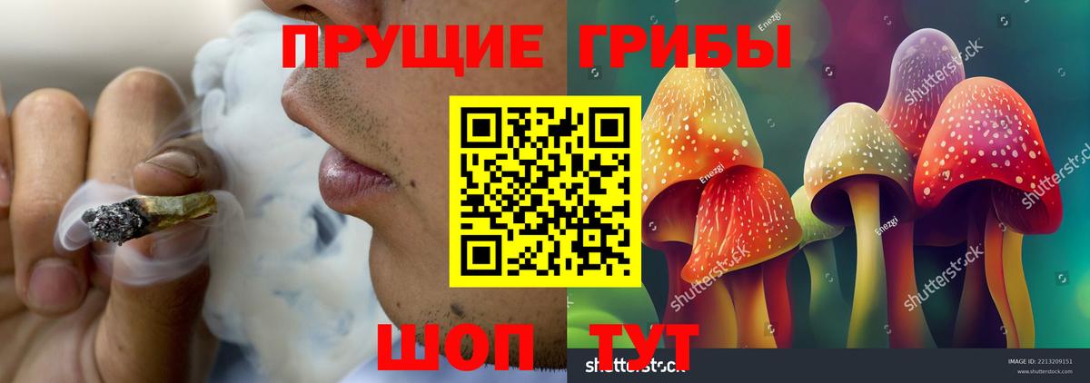 Псилоцибиновые грибы Psilocybe Сибай